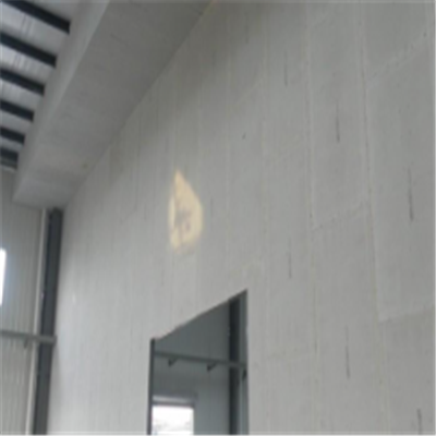 椒江宁波ALC板|EPS加气板隔墙与混凝土整浇联接的实验研讨